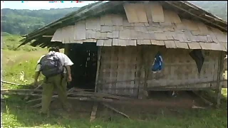 3233 hairy porn videos