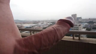 Show my Hawkshaw in Guangzhou Shunde China - exhibitionist